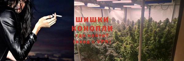 прущие грибы Вязники