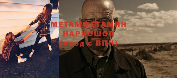 прущие грибы Вязники