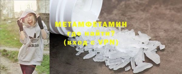 прущие грибы Вязники