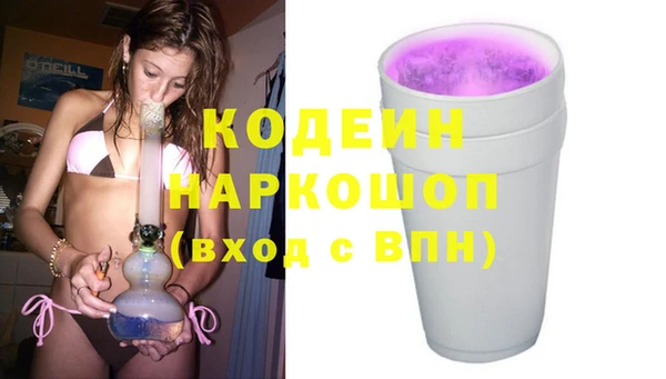 прущие грибы Вязники
