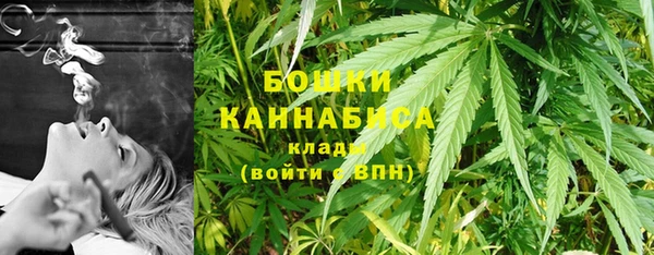 прущие грибы Вязники