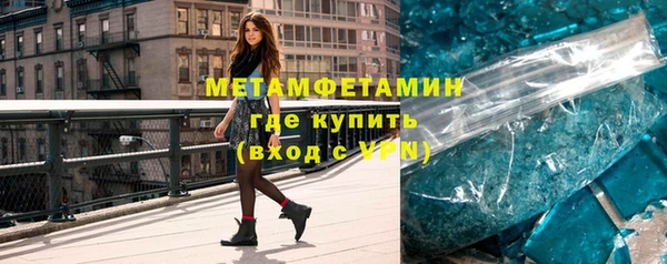 прущие грибы Вязники