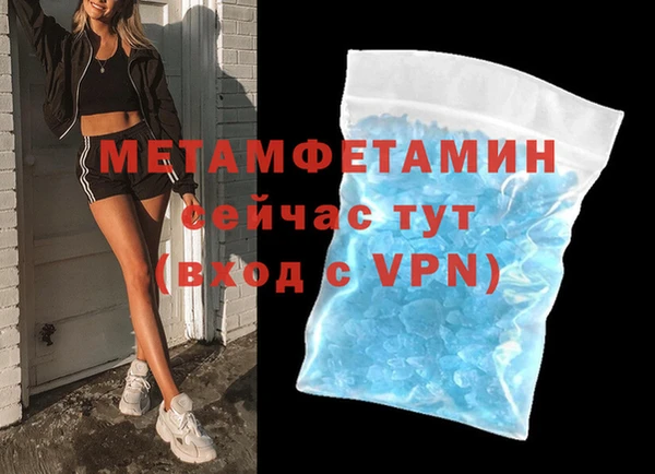 прущие грибы Вязники