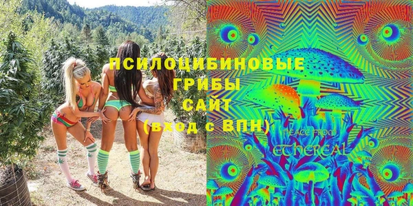 прущие грибы Вязники