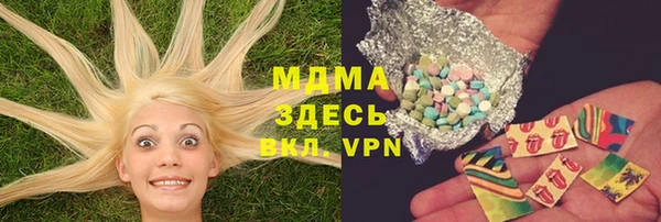 прущие грибы Вязники