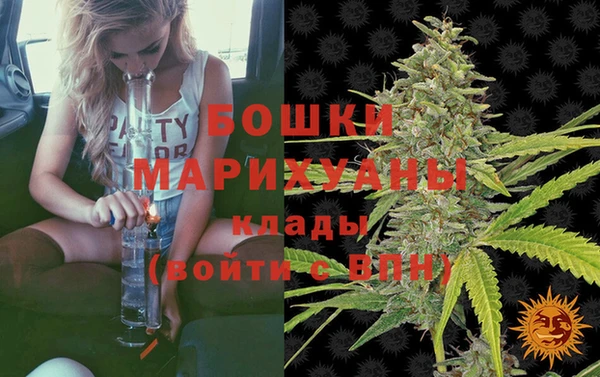 прущие грибы Вязники