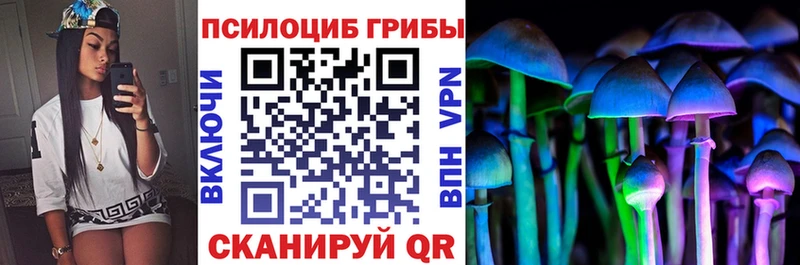 Галлюциногенные грибы GOLDEN TEACHER  блэк спрут ONION  Надым  купить закладку 
